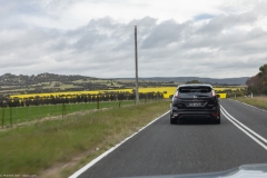 DADDriveSept2022-133