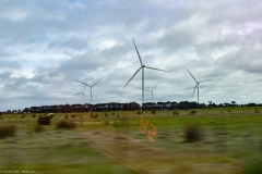 DADDriveSept2022-177