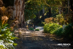 DAD-Autumn-Drive-Day-Berwick-Ford-2024-112