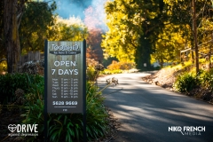 DAD-Autumn-Drive-Day-Berwick-Ford-2024-86