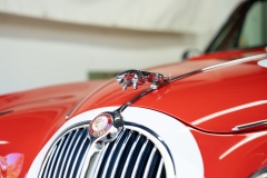 20240602-Drive-Against-Depression-QLD-Drive-Day-Bowdens-Own-Collection-62