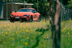 DAD-Cruise-1089-Enhanced-NR