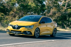 DAD-Cruise-410-Enhanced-NR