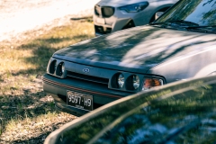 DAD-Cruise-957-Enhanced-NR