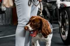 DAD-2025-Adelaide-Autumn-Drive-Day-0248