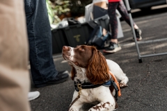 DAD-2025-Adelaide-Autumn-Drive-Day-9964