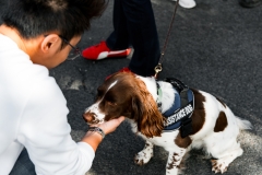 DAD-2025-Adelaide-Autumn-Drive-Day-9993