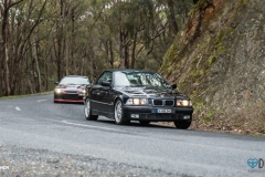 48851125477_dc483ab3e5_o