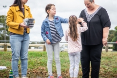 summer-drive-day_50906944708_o