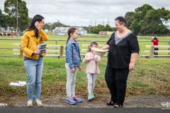 summer-drive-day_50907772457_o