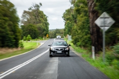 summer-drive-day_50907778422_o