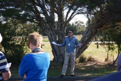 mornington-peninsula-run-18032019_48835922443_o