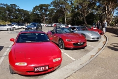 mornington-peninsula-run-18032019_48836341282_o