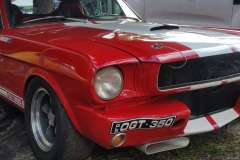 noosa-hill-climb-winter-2018_48863705243_o