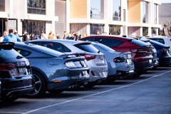 DAD-Winter-Drive-Day-Full-Album-185